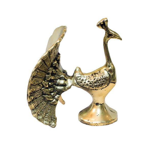 عکس طاووس برنز