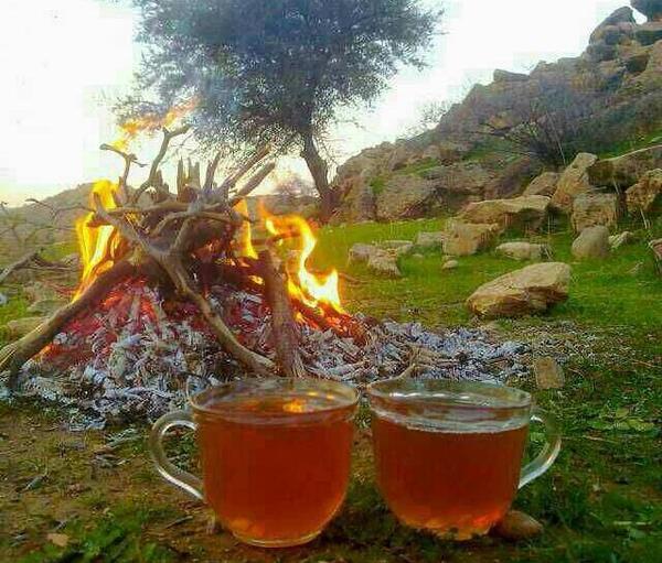 عکس چای یهویی