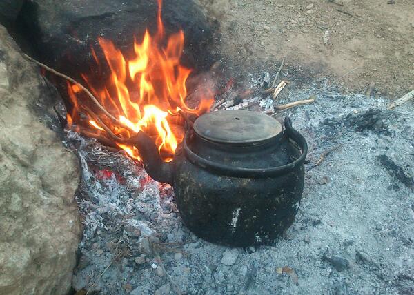 عکس چای یهویی