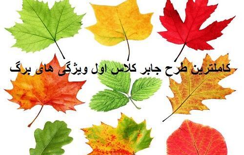 عکس طرح جابر کلاس اول