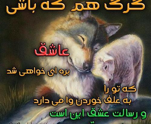 عکس نوشته تو چه سگی هستی