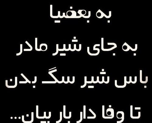 عکس نوشته تو چه سگی هستی
