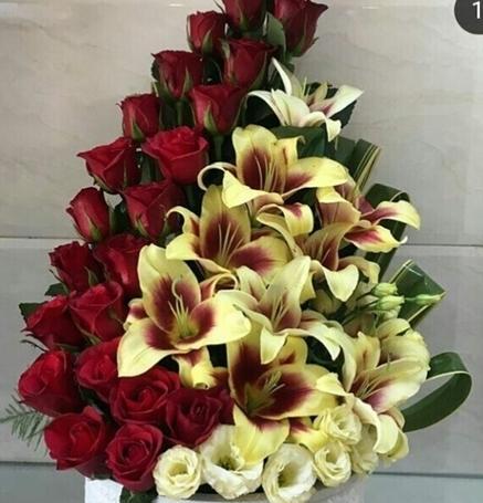 عکس دسته گل بله برون