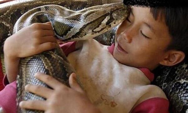 عکس ترسناک مار