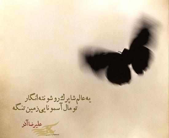 عکس نوشته از علیرضا آذر