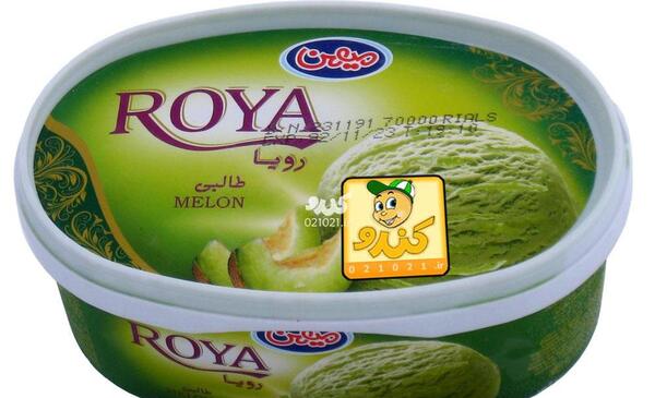 عکس رویا طالبی
