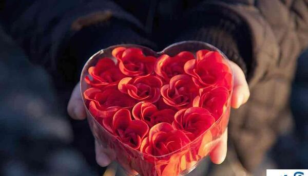 عکس های عاشقانه روی صفحه گوشی