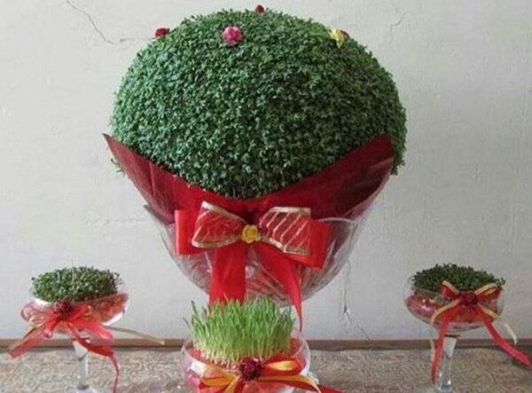 عکس سبزه عید برای عروس
