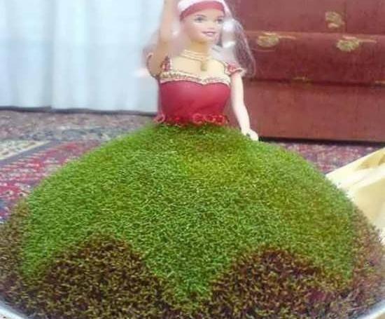 عکس سبزه عید برای عروس