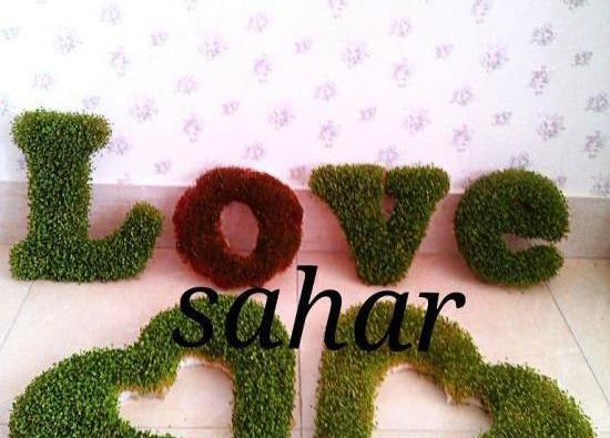 عکس سبزه عید برای عروس