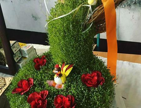 عکس سبزه عید برای عروس