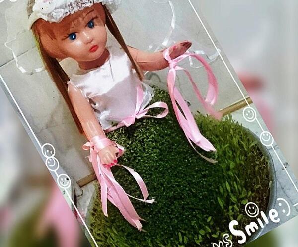 عکس سبزه عید برای عروس