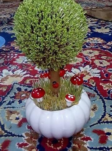 عکس سبزه عید برای عروس