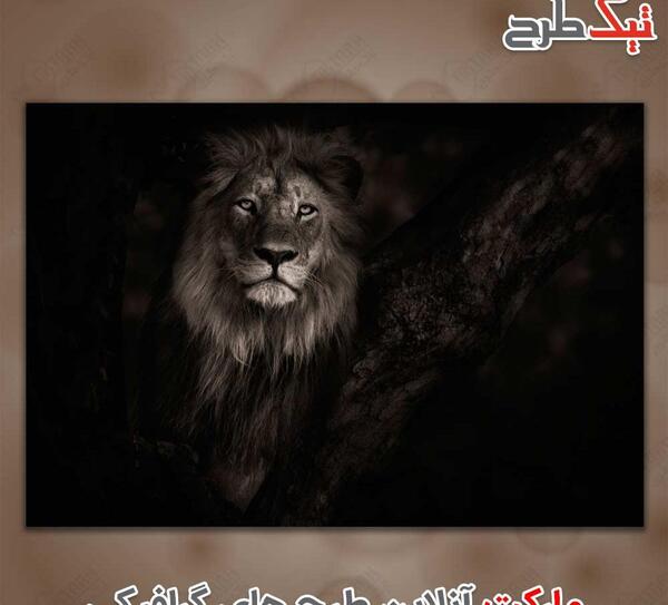 عکس شیر شاخدار