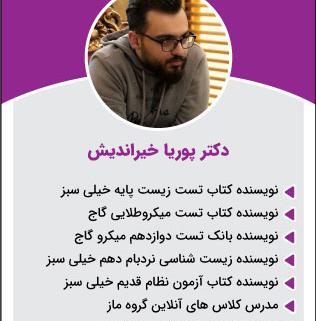 عکس پوریا خیراندیش