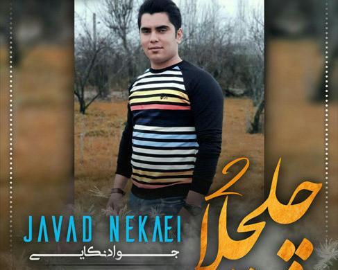 عکس جواد نکایی با همسرش