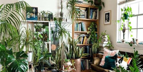 عکس ایده برای گل در خانه
