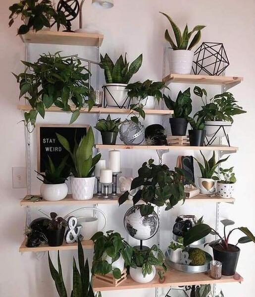 عکس ایده برای گل در خانه