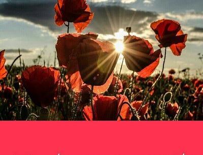 عکس عصر بخیر دوستان