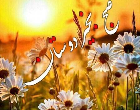 عکس عصر بخیر دوستان