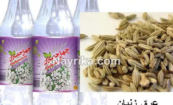 عکس رازیانه و زنیان