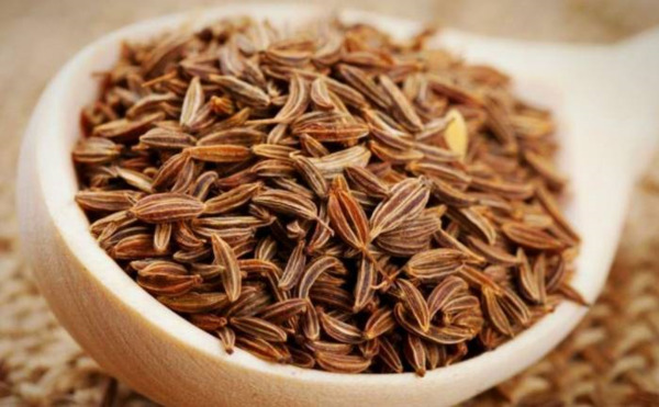 عکس رازیانه و زنیان