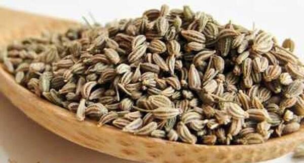 عکس رازیانه و زنیان