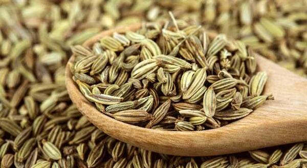 عکس رازیانه و زنیان