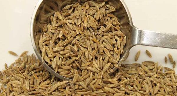 عکس رازیانه و زنیان