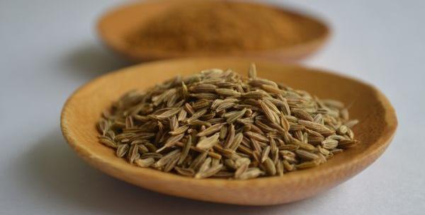 عکس رازیانه و زنیان