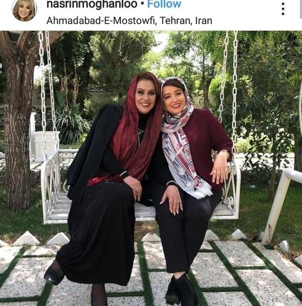 عکس حامد شریفی