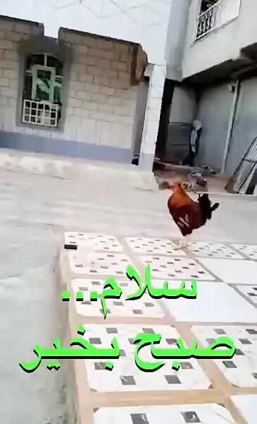 عکس نوشته طنز سلام صبح بخیر