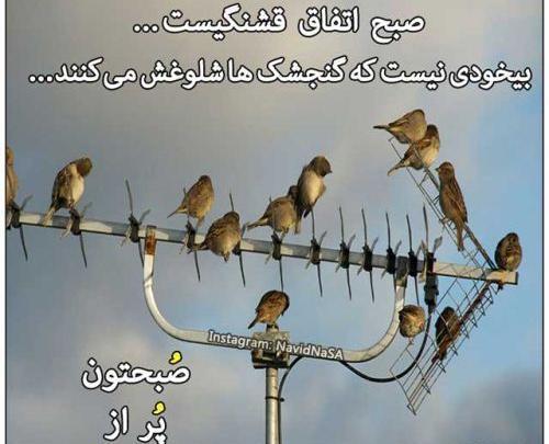 عکس نوشته طنز سلام صبح بخیر