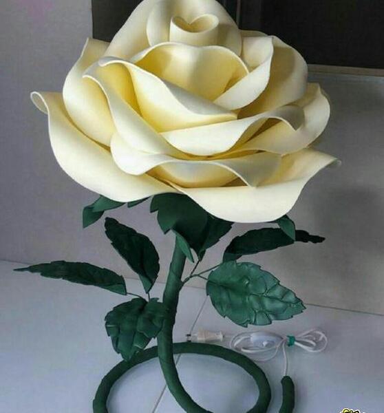 عکس گل رز اکلیلی