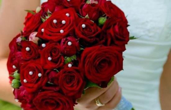 عکس گل رز اکلیلی