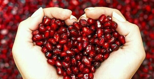 عکس یلدا ریاحی