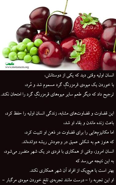 عکس خطای ذهن