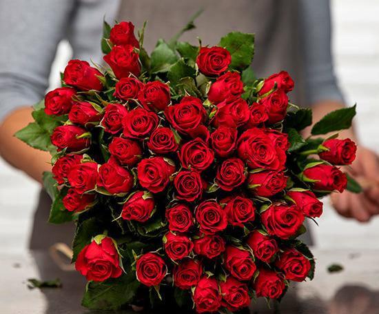 عکس دسته گل رز قرمز