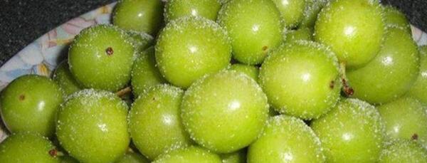 عکس های میوه بهاری