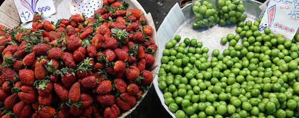 عکس های میوه بهاری