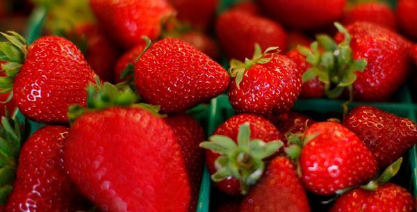 عکس های میوه بهاری