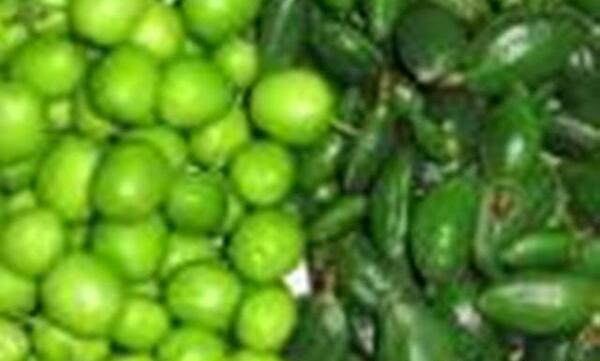 عکس های میوه بهاری