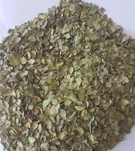 عکس آویشن پهن