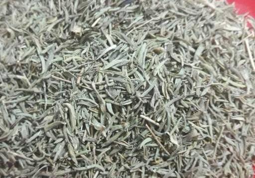 عکس آویشن پهن