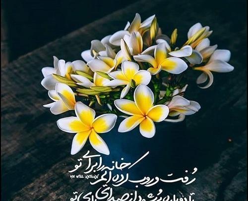 عکس امام زمان با گل
