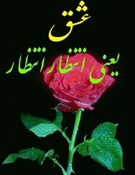 عکس امام زمان با گل