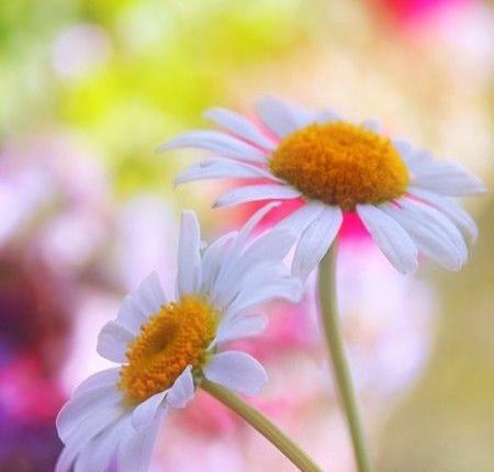 عکس های زیبا صفحه زمینه