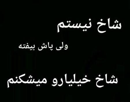 عکس نوشته تیکه دار به آدم فضول