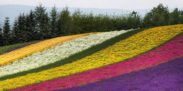 عکس تصاویر بسیار زیبای طبیعت ژاپن