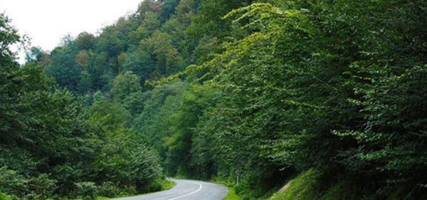 عکس طبیعت زیبای گیلان